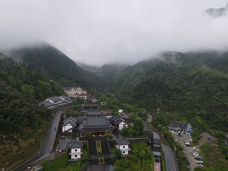 91视频福利